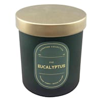 Fig Eucalyptus Scented Jar Candle, 5.5oz