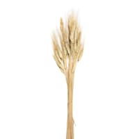 Natural Barley Bundle, 26"