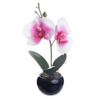 Pink Orchid Flower with Black Planter, 8"