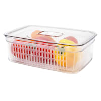Frosted Clear Fruit & Veg Produce Crisper, Medium