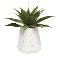 Agave with Marbled Planter, 18"