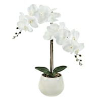 Orchid in White Pot, 20"