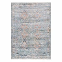 (B652) Genevieve Red & Blue Distress Look Area Rug, 8x10