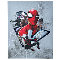 Spider-Man Miles Morales Canvas Wall Art, 11x14