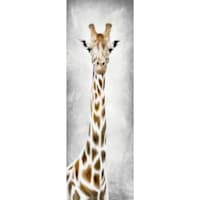 Geri The Giraffe Canvas Wall Art, 12x36