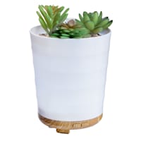 Potted Succulent Oil Diffuser