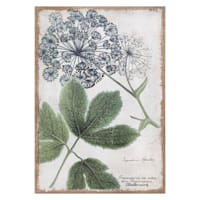 Queen Anne Lace Flower Spackled Burlap Canvas Wall Art, 16x24