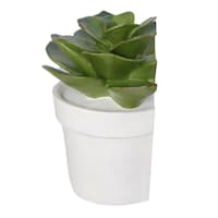 1-Piece Succulent Bookend, 6"