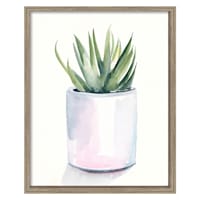 Glass Framed Potted Succulent Wall Art, 17x21