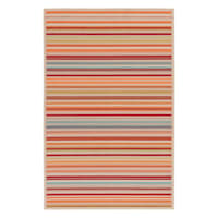 (E309) Scope Multicolor Striped Woven Indoor & Outdoor Area Rug, 5x7
