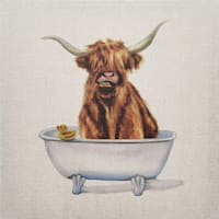 Bathing Beauty Highland Cow Canvas Wall Art, 12"