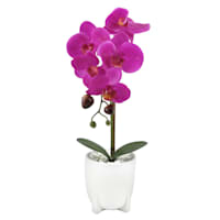 Purple Orchid in Ceramic Pot, 14.5"