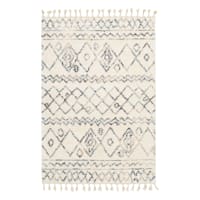 (C168) Found & Fable Ogon Tribal Woven Fringe Area Rug, 5x7