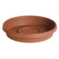 Terracotta Terra Living Outdoor Plant Saucer, Large