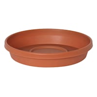 Terracotta Terra Living Outdoor Plant Saucer, Medium