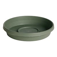 Green Terra Living Plant Saucer, Small