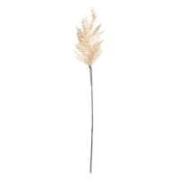White Pampas Grass Stem, 36"