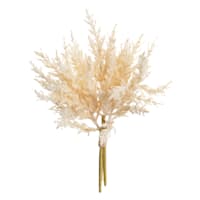 White Pampas Grass Bundle, 14"