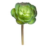 Green Echeveria Pick, 6"