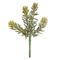 Ash Green Sedum Pick, 7"