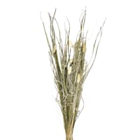 Natural Everyday Bouquet, 26"
