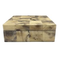Crosby St. Faux Horn Box, 8x6