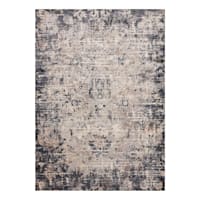 (D492) Honeybloom Muneer Blue & Beige Area Rug, 5x8