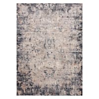 (D492) Honeybloom Muneer Blue & Beige Area Rug, 8x10