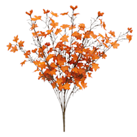 Mini Orange Maple & Berry Bush, 27"