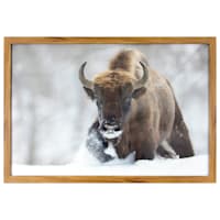 Buffalo hotsell wall art