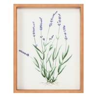 Purple Fern Framed Canvas Wall Art, 11x14