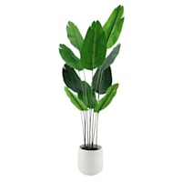 Banana Leaf Tree with White Planter, 5'