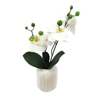 Phalaenopsis Flowers in White Pot, 16"