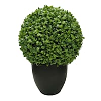 Boxwood Ball Plant with Black Planter, 16"