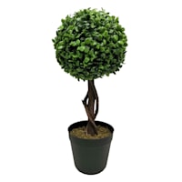 Boxwood Ball Topiary Plant in Black Planter, 17"