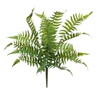 Fern Bush, 18"