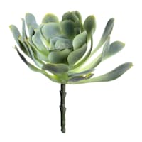 Green Echeveria Stem, 7"