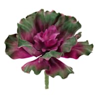 Purple Curly Echeveria Spray, 6"