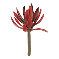 Red Agave Pick, 9"