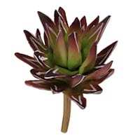 Red Aloe Pick, 8.5"