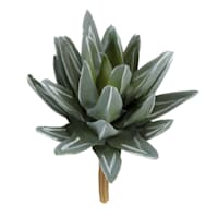 Green Aloe Pick, 8.5"