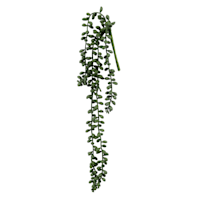 Green Nertera Berry Stem, 13.8"