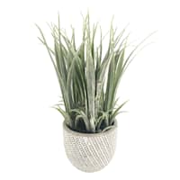 Grass Plant with White Cement Planter, 7"