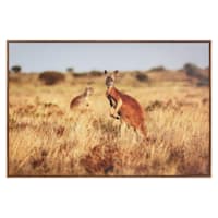 Framed Kangaroo Canvas Wall Art, 36x24