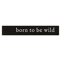 Born to Be Wild Canvas Wall Art, 36x6