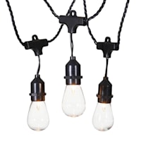 30-Count UL D40 Edison Bulb String Light Set, Black Wire