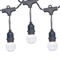 30-Count Clear G40 Globe String Lights with Black Commercial Wire