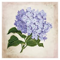Floral Canvas Wall Art, 14"