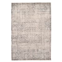 (B741) Firenze Neutral Traditional Area Rug, 8x10