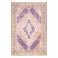 (D540) Passion Multicolor Medallion Area Rug, 5x7